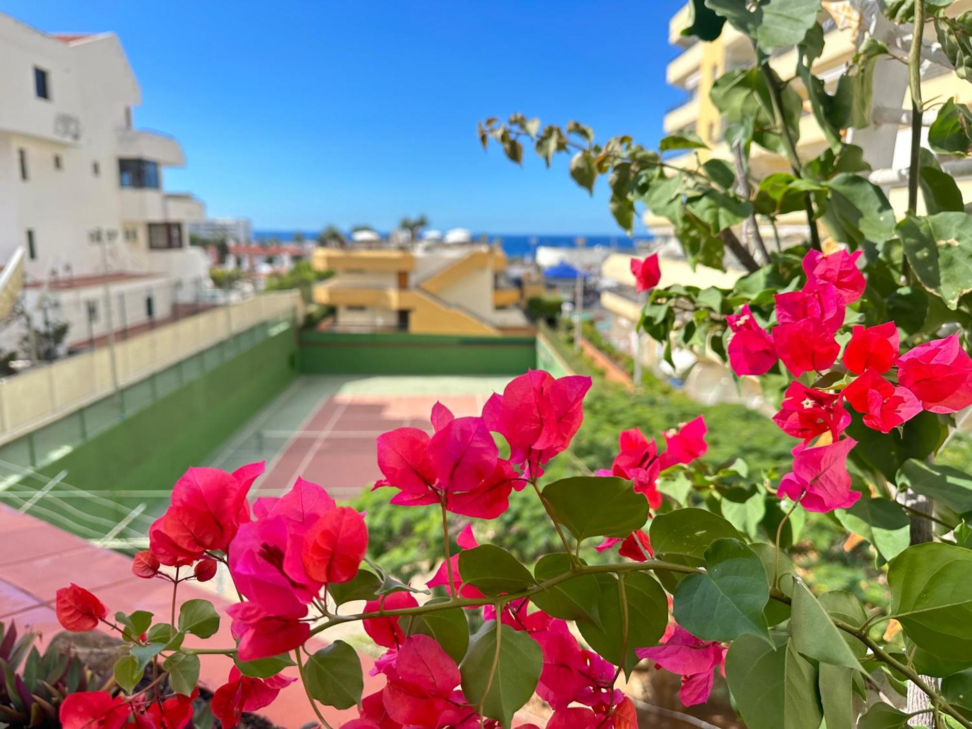 Apartment In Ocean Park, Costa Adeje, Tenerife Costa Adeje (Tenerife) Exterior foto